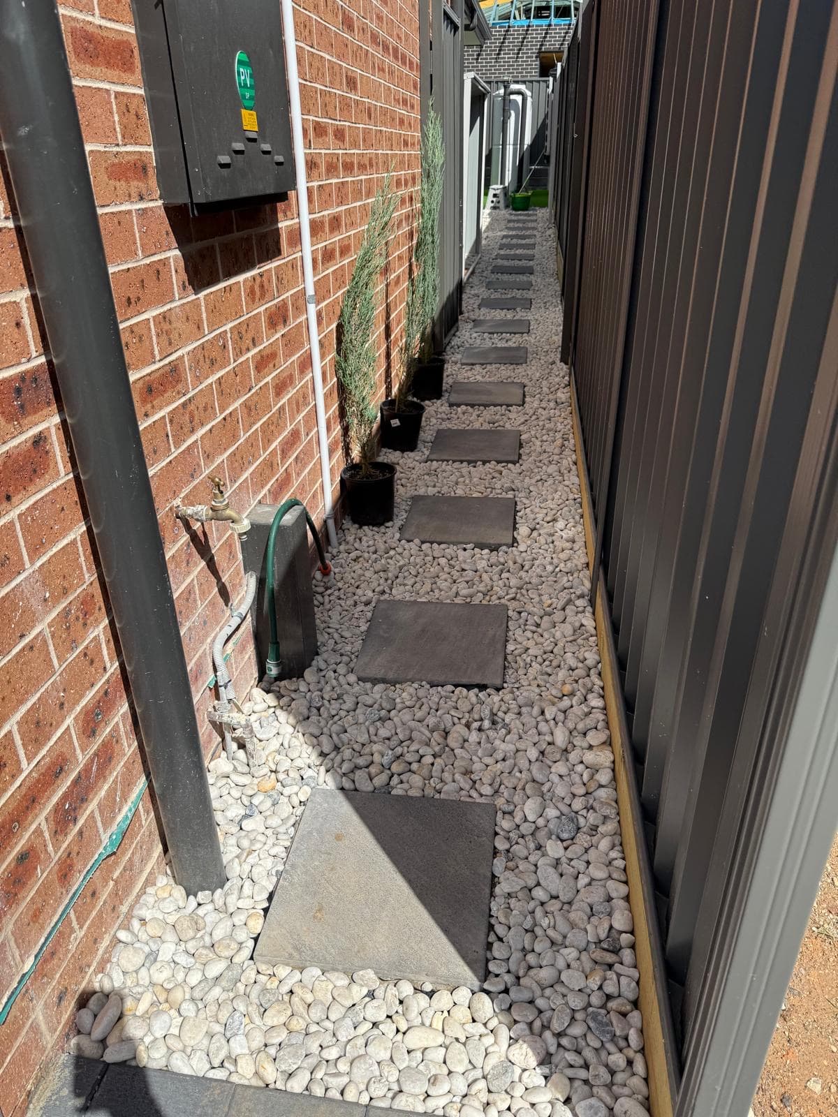 Side house landscaping Sydney - crushed granite path with bordering lilly pilly hedges